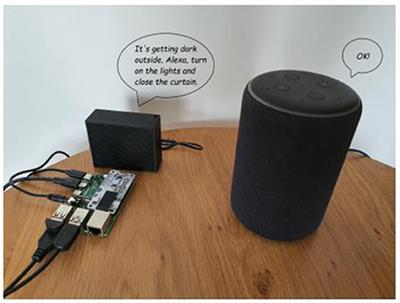 Views and experiences on the use of voice assistants by family and professionals supporting people with cognitive impairments